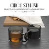 Elle Decor Double Wall Coffee Cups, Set of 2, Cute Coffee, Tea, and Milk Glass Mugs with Handle, Insulated Espresso Cup, 10-Ounce, Gray - 4 of 4