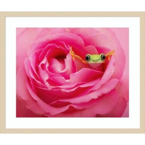 Amanti Art Hanging On VIII by PHBurchett Wood Framed Wall Art Print - 1 of 4