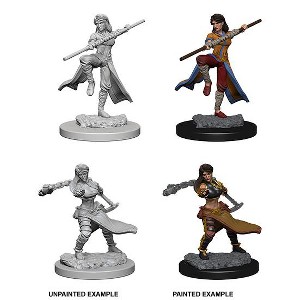 Dungeons & Dragons Nolzur's Marvelous Miniatures - Human Female Monk - 1 of 1