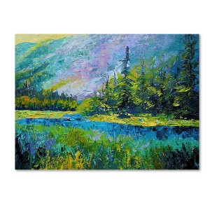 14" x 19" Summer Valley by Marion Rose - Trademark Fine Art: Canvas Wall Decor, Modern Style, Unframed Digital Landscape - 1 of 4