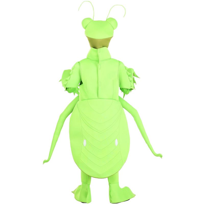 HalloweenCostumes.com Kid's Praying Mantis Costume, 2 of 3