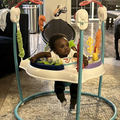 Fisher-Price Baby Bouncer Rainforest Jumperoo Activity Center with Music  Lights Sounds and Developmental Toys for Sale in Valley Stream, NY - OfferUp