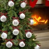 Aoibox 12 Pack Christmas Ornaments Shatterproof White Bulbs with Buffalo Plaid Bows 2.36 Inch Rustic Farmhouse Tree Decorations - 2 of 4