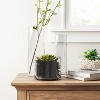 14" x 5" Skinny Glass Vase - Threshold™: Elegant Tabletop Hurricane, Spot Clean, Watertight Decor - 2 of 3