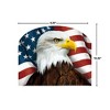 Briarwood Lane Everyday Art Sign 8.25x10.25 American Eagle Patriotic Art Sign - 2 of 4