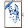 Trends International Jean Plout - Indigo Botanical Asplenium Trichomanes Framed Wall Poster Prints - 3 of 4