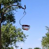 Backyard Essentials Clear Bubble Glass Hanging Hummingbird Feeder - 6 oz - 3 of 3
