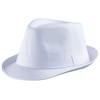 Dress Up America Fedora Hat - 2 of 4
