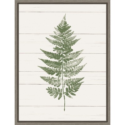 Amanti Art Fern Print I by Moira Hershey Canvas Wall Art Print Framed 18-in. x 24-in.