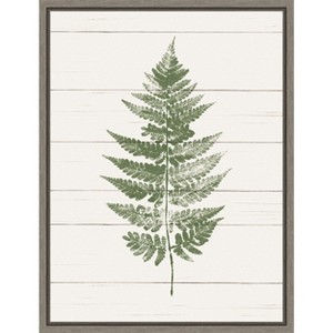 Amanti Art Fern Print I by Moira Hershey Canvas Wall Art Print Framed 18-in. x 24-in. - 1 of 4