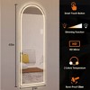 Runesay Silver 65" x 21" Arch Design Full Length Mirror, Full-Length Standing or Wall-Mounted - 2 of 4