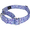 Country Brook Petz Martingale Dog Collar - Abstract Collection - 4 of 4