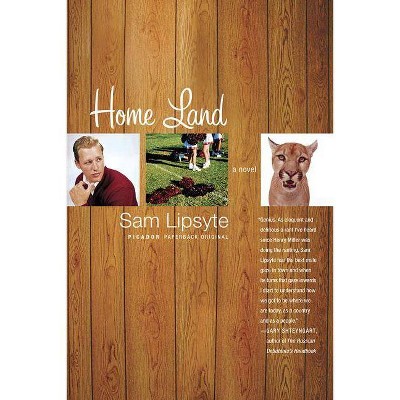 Home Land - by  Sam Lipsyte (Paperback)