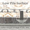 Nasitip Area Rugs,Washable Rugs Floor Carpet, Vintage Rugs for High Traffic Areas,  Non-Slip Rug for Dining Room Office Home Decor - 2 of 4