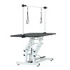42" Heavy Duty Pet Grooming Table with Adjustable Arm and Noose,Dog Drying and Trimming Table for Large and Medium Pets–LAOTIES - 3 of 4