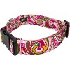 Country Brook Petz 1 1/2 Inch Deluxe Dog Collar - Paisley Collection - 3 of 4