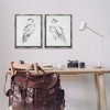 Stupell Industries White Hawk Winter Birds Black Framed Floater Canvas Wall Art - 2 of 4