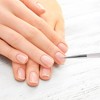 Unique Bargains Fantasy Color Universal Nail Painting Brushes for Polish Painting Orange 1 Pc - 2 of 4