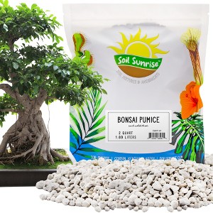 Soil Sunrise Horticultural Bonsai Pumice Soil Amendment, Substrate for Bonsai Trees - 1 of 4