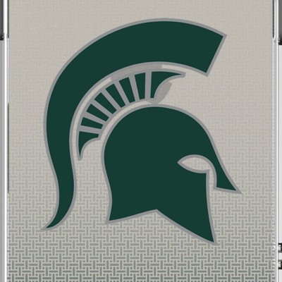 michigan state spartans