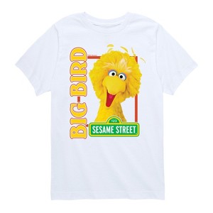 Boys' - Sesame Street - Big Bird Photo Short Sleeve Graphic T-Shirt - 1 of 4