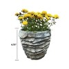 Slickblue Grey Washed Cement Plant Pot, Palm Leaf Pattern, Indoor Outdoor Planter, Modern, Small or Medium Size - 2 of 4