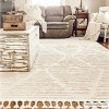 Hauteloom Mengen High/Low Pile Rug with Tassels - 2 of 4
