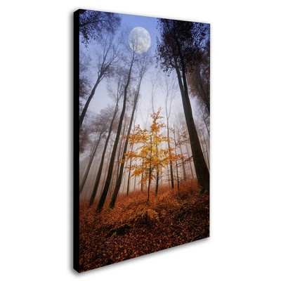 Trademark Fine Art -Philippe Sainte-Laudy 'Sentinel' Canvas Art