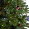 Nearly Natural 10-ft Fraser Fir Artificial Christmas Tree with 780 Multicolor LED Lights and 2327 Bendable Branches - 3 of 4