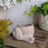 NAYSAYE Planter Decorative Sand and Cement Snail Planter with Textured Beige Finish for Indoor Outdoor Garden, Beige, 8.3"*7"*4.7" - 2 of 4