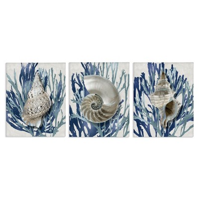 Stupell Industries Trio of Shells & Coral, 11" x 14"