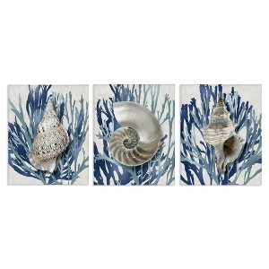 Stupell Industries Trio of Shells & Coral, 11" x 14" - 1 of 4