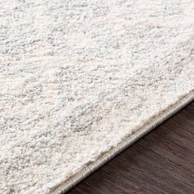Gray Reversible Synthetic Low Pile Area Rug