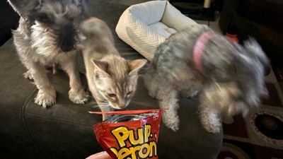 Guest review image 4 of 4, zoom in