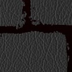 new england patriots