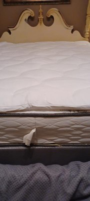 Guest review image 3 of 5, zoom in