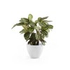 Ecopots Antwerp Durable Modern Round Indoor/Outdoor Recycled-Based Composite Flower Pot Planter - 4 of 4