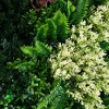 Nearly Natural 40"x40" Artificial Living Wall Panel Green - 4 of 4