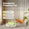 Allforpaws Interactive - Cat Toys - Whack-a-Mole Cat Teaser Toy - 3 of 4