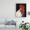 Trademark Fine Art 14" x 19" Rooster Portrait I by Ethan Harper : Canvas Art, Animal Digital Wall Canvas - 2 of 3