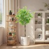 Artificial Ficus Tree, Fake Ficus Tree with Lifelike Trunk and Silky Green Leaves with Vines, for Home Bedroom Balcony Office Decor - 3 of 4