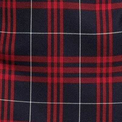 classic navy large plaid