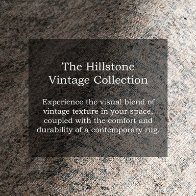Hillstone Gray Rectangular Synthetic Vintage Medallion Area Rug