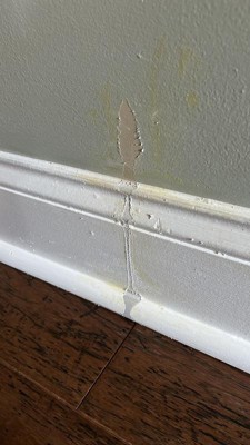 Guest review image 1 of 2, zoom in