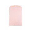JAM Paper 6 x 9 Open End Catalog Envelopes Baby Pink 100/Pack (51285797) - 2 of 2