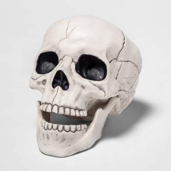 Skull Halloween Decorative Prop - Hyde & EEK! Boutique™