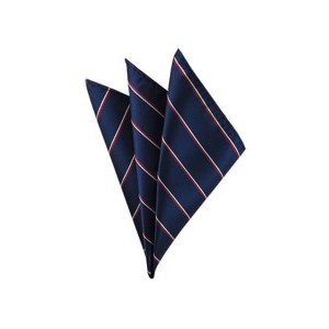 TheDapperTie - Men's Stripe Woven 10 Inch x 10 Inch Pocket Squares Handkerchief - 1 of 3