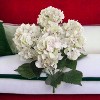 Floral Home 20" White Pink Hydrangea Bush - 6-Piece - 4 of 4
