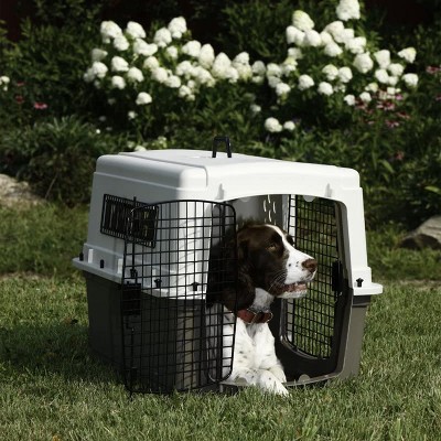 Beige and Taupe Double Door Plastic Pet Travel Crate