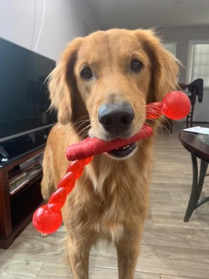 Kong Safestix Fetch & Tug Dog Toy - Red - Small : Target